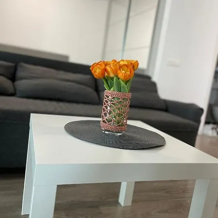North Park Boutique Apartmán